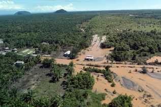 Petani Sawit Terdampak Bencana di Aceh Harapkan Bantuan Pupuk dari BPDP