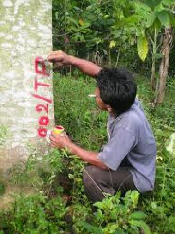 Comlog Telapak Ciptakan Investigator Hutan yang Handal