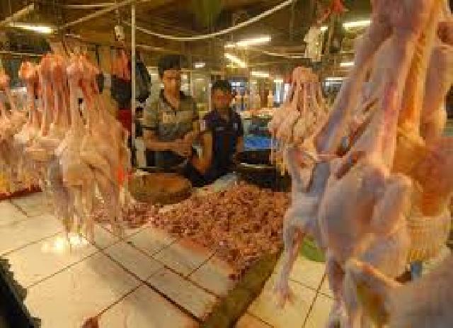 Los Pedagang Ayam Pasar Rumbai Akan Segera Diperbaiki