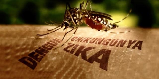 Diskes Pekanbaru Koordinasi Dengan KKP Waspadai Zika