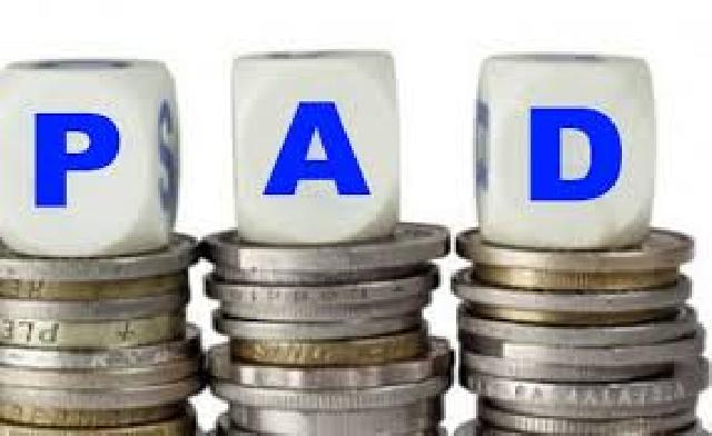 Dishub Rohil Targetkan PAD Parkir Diatas 180 Juta Rupiah