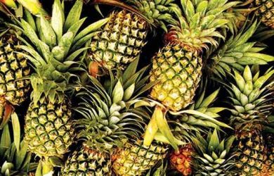 4 Cara Berikut Harus Kamu Terapkan Jika Memilih Buah Nanas yang Berkualitas