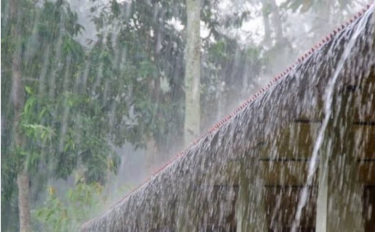 Riau Diguyur Hujan Disertai Angin Kencang Sejak Subuh Hingga Jelang Siang Nanti