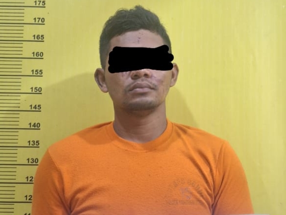 Polsek Tambusai Utara Tangkap Pelaku Curanmor di Desa Danau Makmur