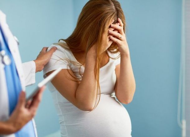 Bukannya Bahagia Istri Hamil, Suami Ini Malah Salahkan Kucing Peliharaan