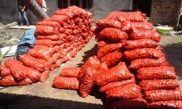Amankan 300 Karung Bawang Merah Ilegal,  Pemilik Kabur