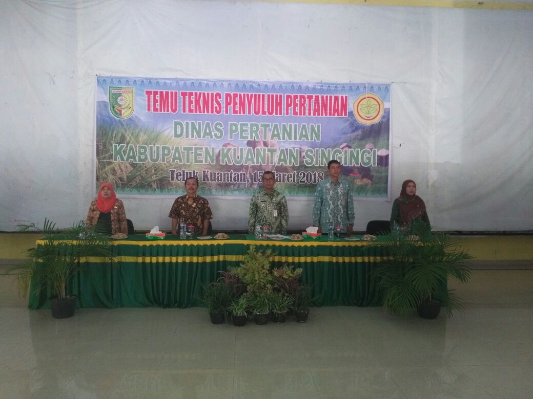 Perkuat Peran dan Fungsi Penyuluh Pertanian, Bupati Mursini Tatap Muka dengan Bagian Teknis