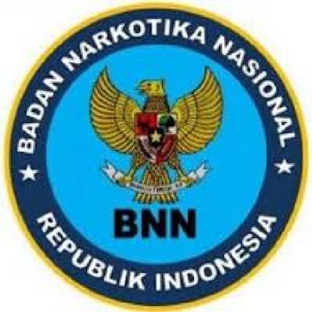 Dua Masyarakat dan Dua PNS Lapor ke BNNK Pelalawan