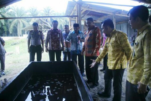 Desa Seminai Pilot Project 'Emas' Merah, Bank Riau Kepri Siap Salurkan Bantuan