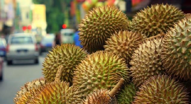 Makan Durian Sepuasnya dengan Harga Murah, Mau Ikut?