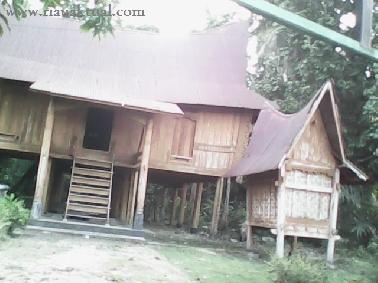 Masyarakat Kampar Sudah Jauh Dari 'Rumah Lontiok'