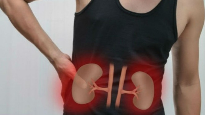 10 Kebiasaan Ini Merusak Ginjal Anda