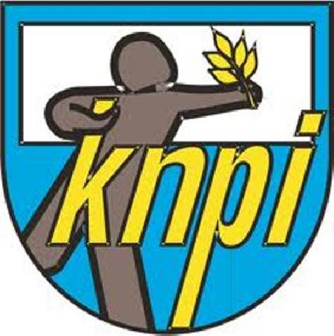Pengurus KNPI Bireuen Resmi Dilantik