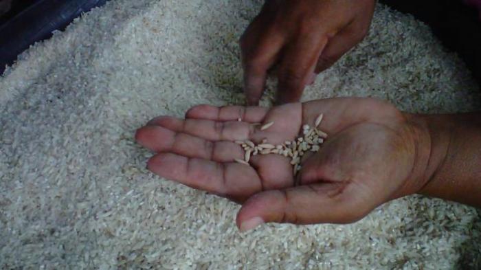 Warga Desa Pinggir Bengkalis Keluhkan Raskin yang Diterima