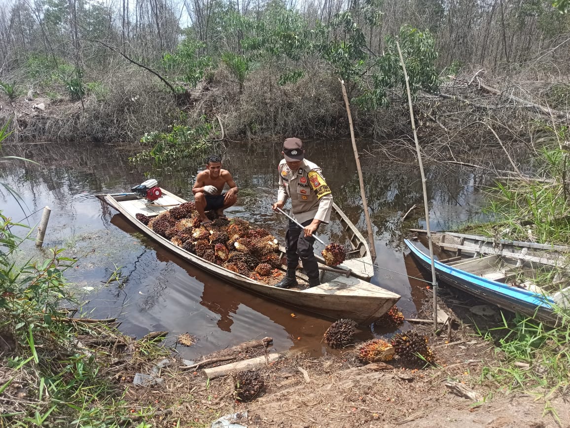Bhabinkamtibmas Langgam Bantu Warga Sambil Sosialisasi Pilkada Damai
