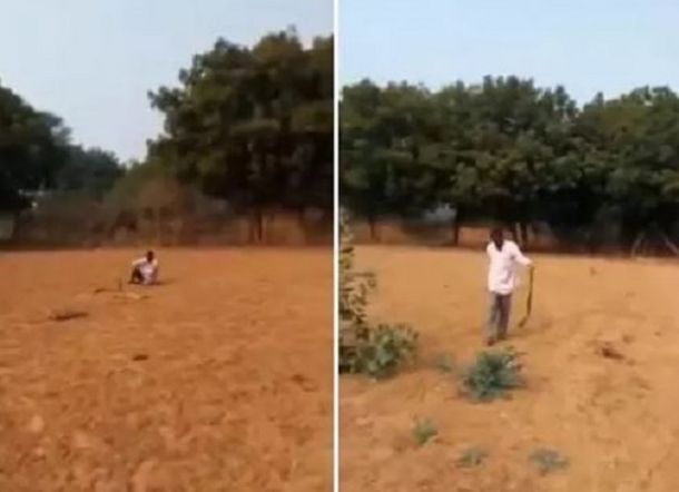 Horor! Video Pria Ajak Bicara Ular Kobra Gara-Gara Mabuk Berat