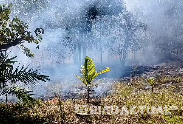 Hari Ini, 4 Hektare Lahan Masyarakat di Kampar Terbakar