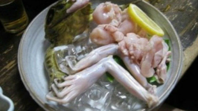 Delapan Makanan Hidup Paling Menjijikkan