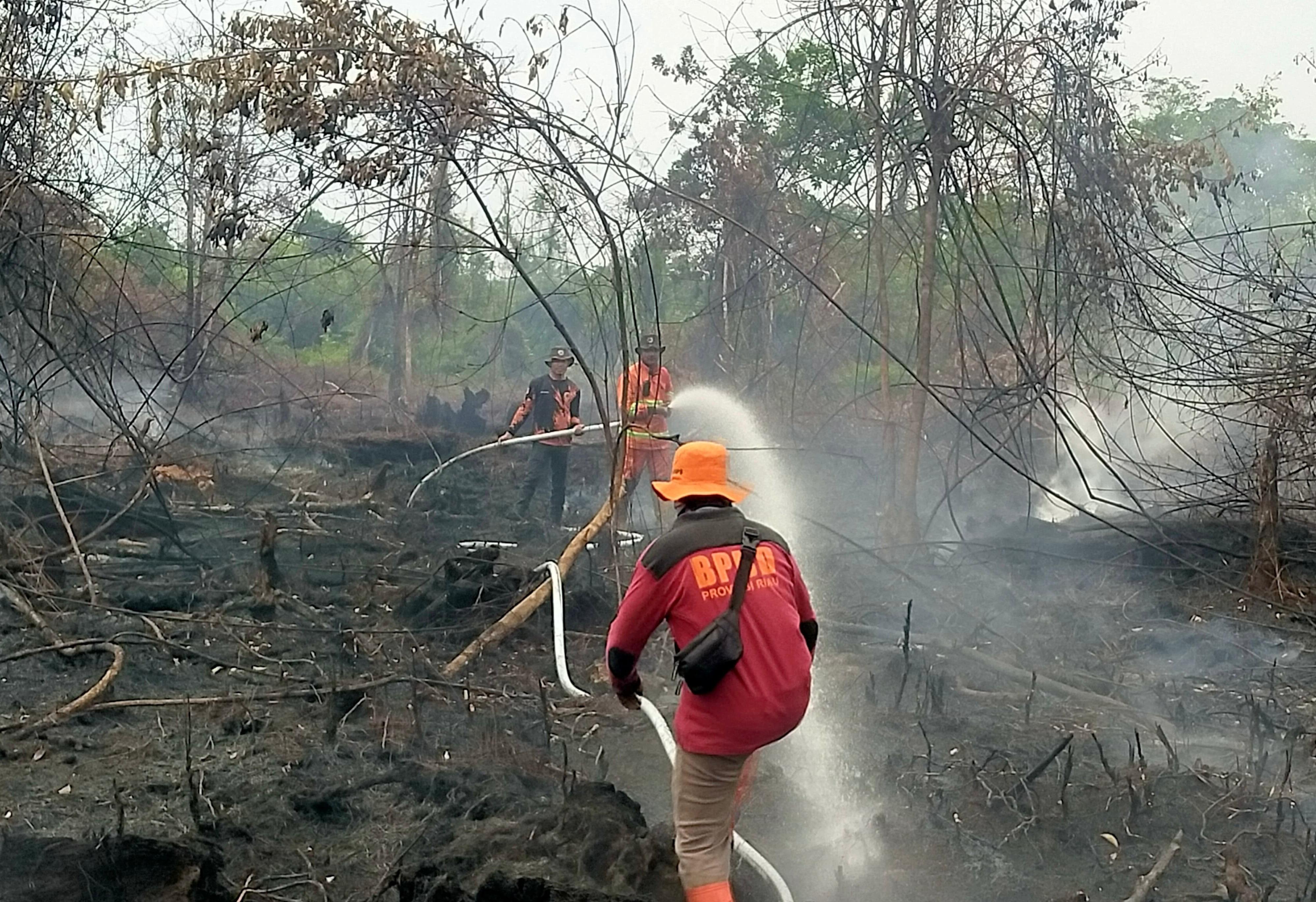 Tim Gabungan Penanganan Karhutla Fokus Pemadaman di Kabupaten Rokan Hulu