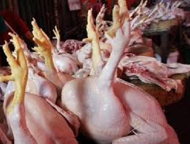 Harga Ayam Potong di Pekanbaru Meroket, Disperindag Turunkan Tim