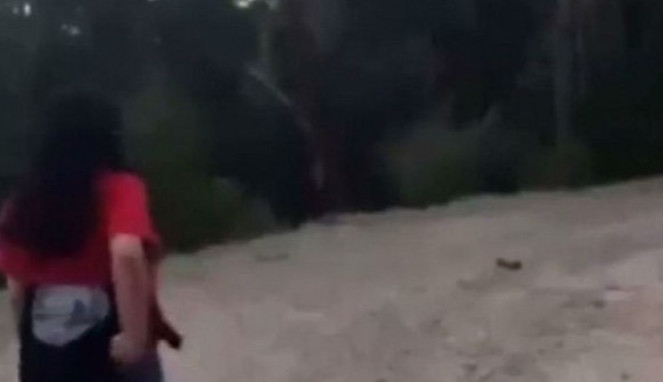 Pengalaman Ngeri Bertemu dengan Makhluk 'Jadi-jadian' di Hutan