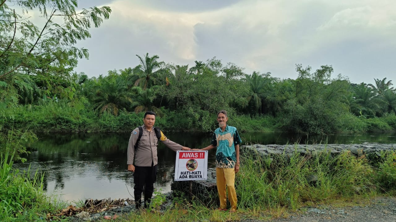 Warga Diminta Waspada, Buaya Kerap Muncul Saat Sungai Bangko Meluap