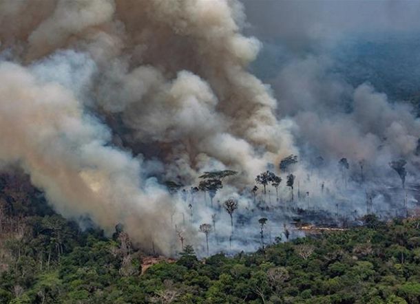 Presiden Brasil Tuduh Leonardo DiCaprio Tanggung Jawab Kebakaran Hutan Amazon