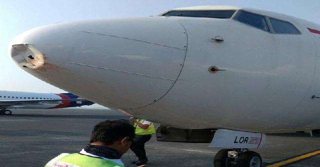 Kecepatan Pesawat Lion Air saat Tabrak Burung Diperkirakan 300 Km Per Jam