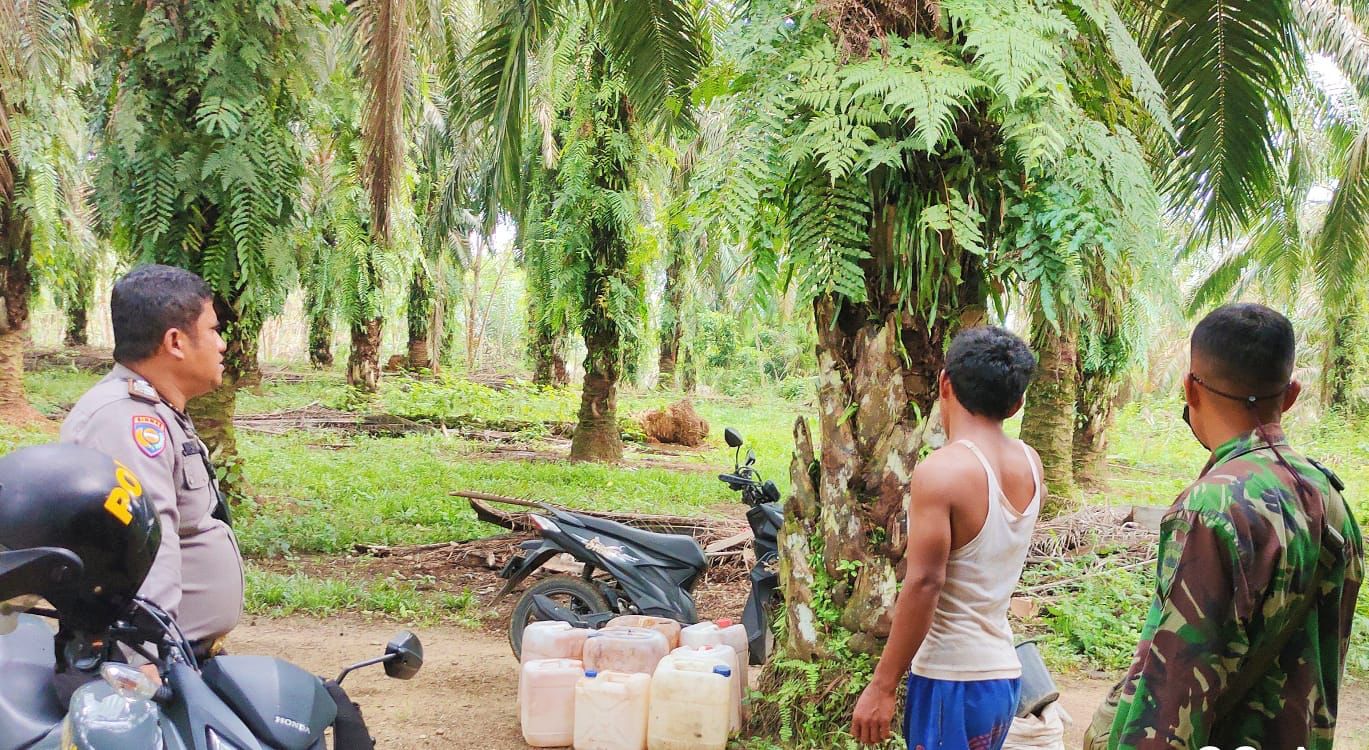 Warga Desa Suka Maju Rohul Dengar Auman Suara Harimau