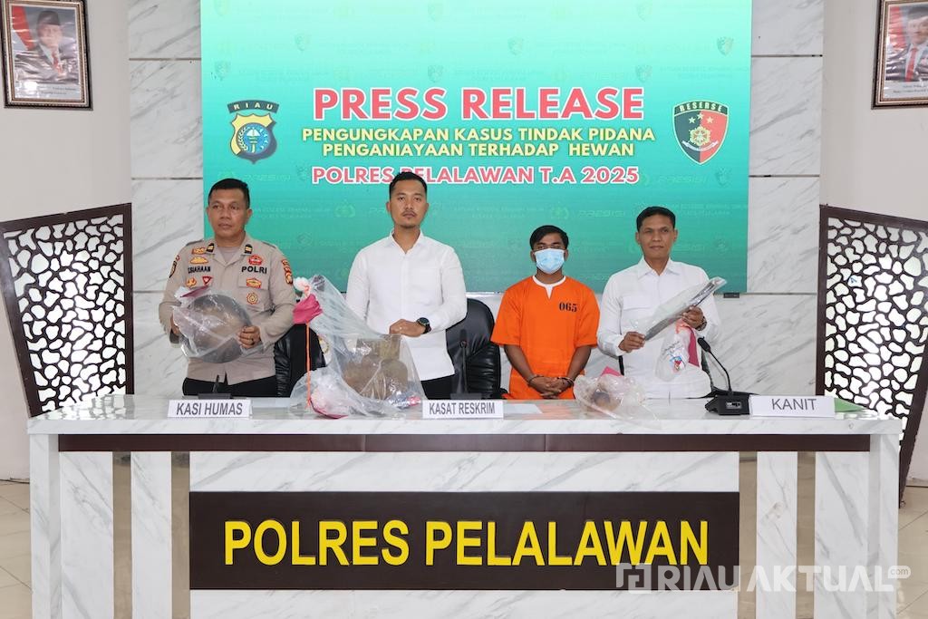 Daging Anjing Dibikin Sup dan Rendang, Pemilik Rumah Makan di Pelalawan Diamankan Polisi