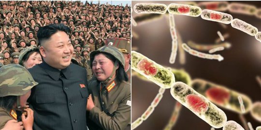 Mengerikan! Dokter Ungkap Penemuan Mengejutkan Pada Tubuh Tentara Korea Utara