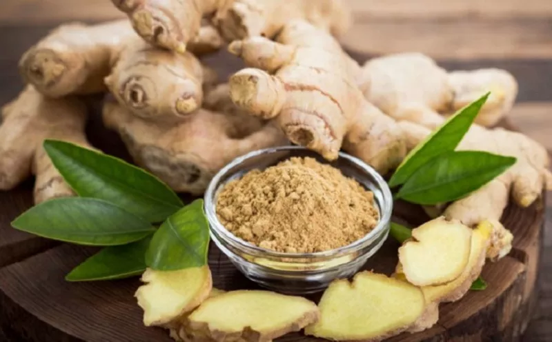 Berikut Empat Herbal yang Bermanfaat untuk Perawatan Kulit Cantikmu, Apa Saja?