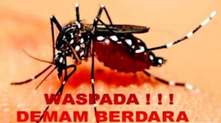 Demam Berdarah Dengue di Pekanbaru Capai 112 Kasus