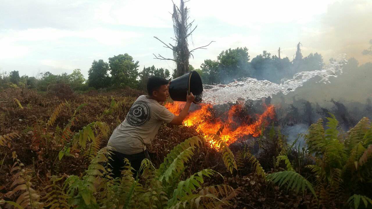 Lahan Sekitar Lima Ha di Marpoyan Damai Terbakar, Api Semakin Meluas