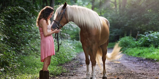 Mengapa Kuda Tidur Berdiri? Ini Penjelasan Sains