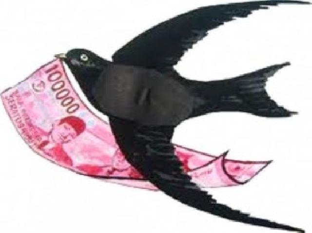 Dewan Minta Pengusaha Walet yang tak Bayar Pajak Dipidana