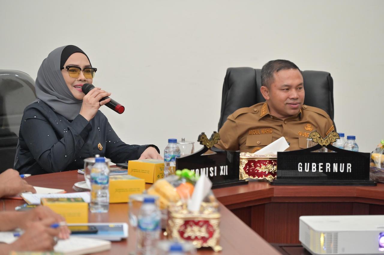 Lobi Pembangunan Kabel Listrik bawah Laut Berhasil, Gubernur Riau Tuai Apresiasi DPR RI