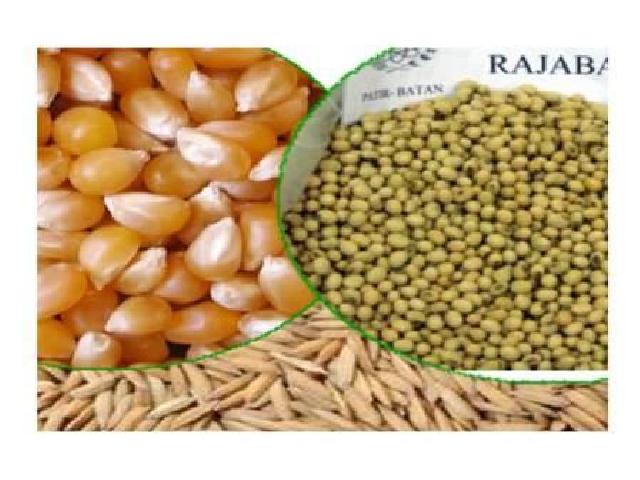 Dinas Pertanian Gunakan Sentuhan Upsus