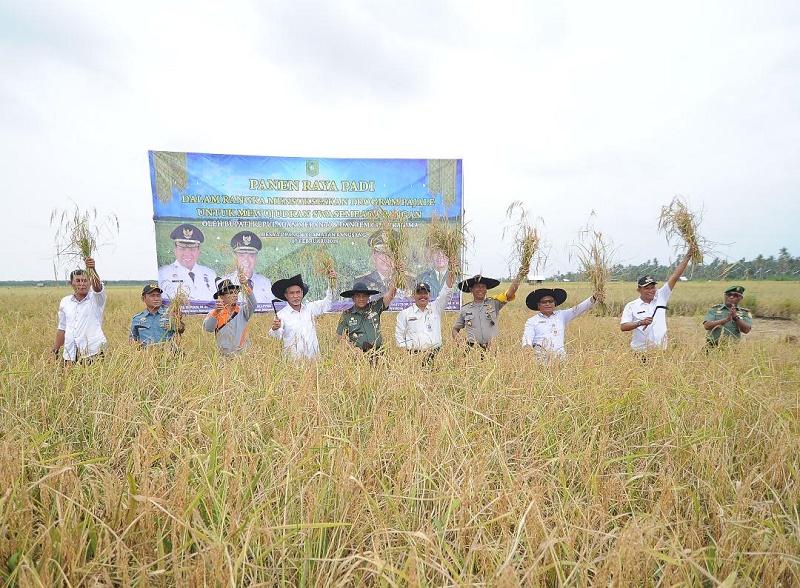 Danrem 031/WB Bersama Wabup Meranti Lakukan Panen Raya Padi di Desa Topang Kecamatan Rangsang
