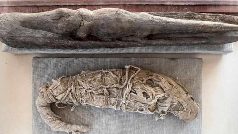 Dikira Pendeta, Ilmuwan Menemukan Mumi Wanita Ini Ternyata dalam Kondisi Hamil 30 Pekan