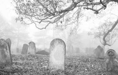 Hal Ini Akan Terjadi Pada Tubuh Manusia yang Sudah Meninggal