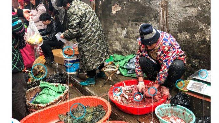 Kematian Akibat Coronavirus Tembus 80, China Larang Perdagangan Satwa Liar