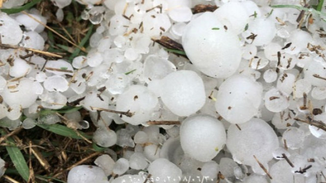 Saat Dunia Merasakan Musim Panas, Hujan Es Melanda Arab Saudi