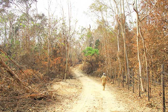Sengketa Lahan Tak Selesai 16 Tahun, Masyarakat Pinggir Bengkalis Minta Presiden Turun Tangan