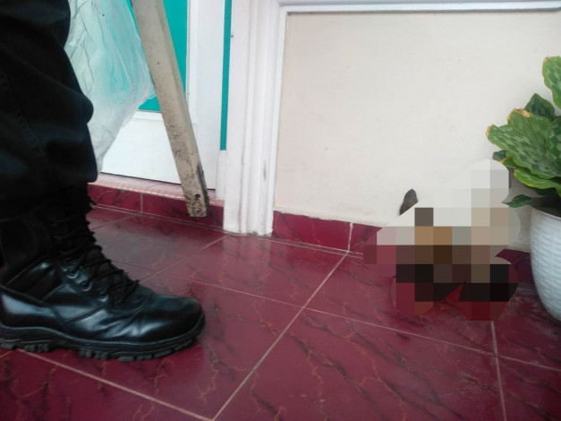 Polisi Tangkap Pelaku Teror Kepala Anjing Rumah Pejabat Tinggi Kejati Riau