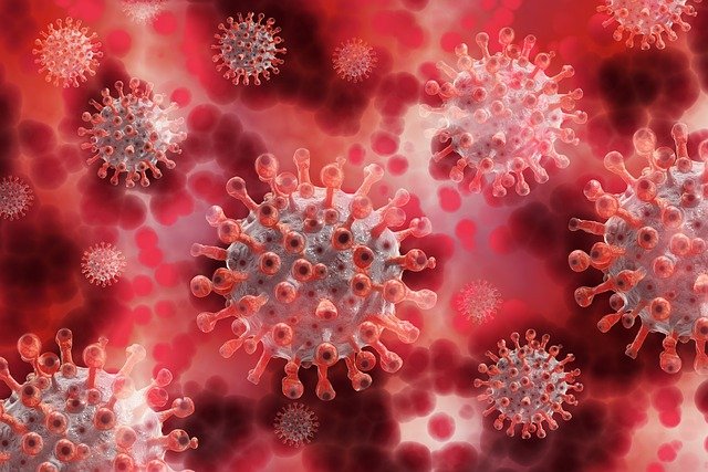 Guna Deteksi Virus Corona Mutasi Baru B117, Riau Kirim Sampel ke Jakarta