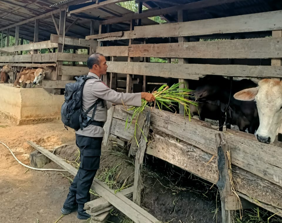 Bhabinkamtibmas Bangko Makmur Dukung Ketahanan Pangan untuk Warga