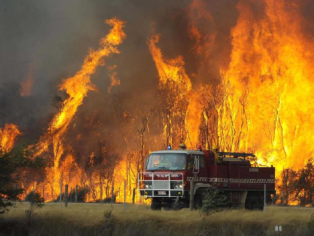 Rohil siaga darurat penanggulangan kebakaran hutan