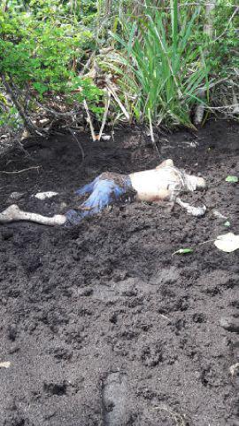 Mencari Rezky Melaut, Akhirnya Mirus Tewas Dipantai