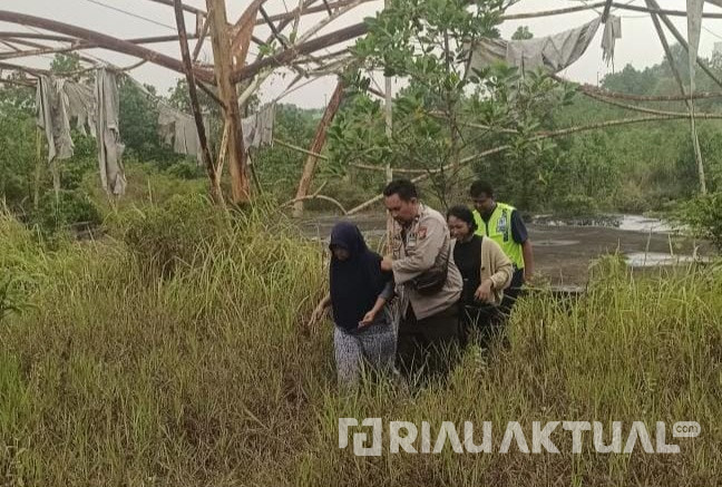 Serangan Tawon di Stadion Utama Riau, Lima Mahasiswi Berakhir di Danau